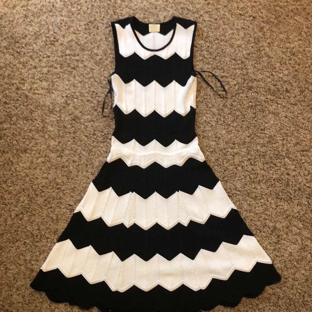 Torn By Ronny Kobo Knit dress